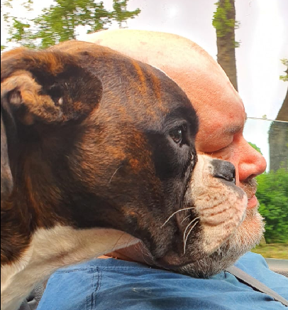 Mogens's user avatar